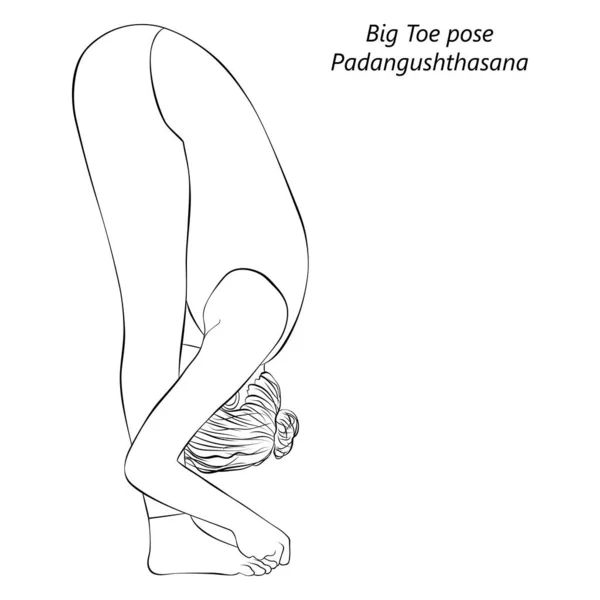 Skica Mladé Ženy Cvičit Jógu Dělat Big Toe Pózu Padangushthasana — Stockový vektor