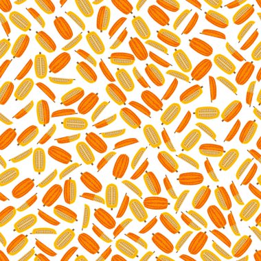 Delicata squash ya da Bohem squash ile kusursuz desen. Kış balkabağı. Cucurbita pepo. Meyve ve sebze. Düz stil. İzole vektör illüstrasyonu.