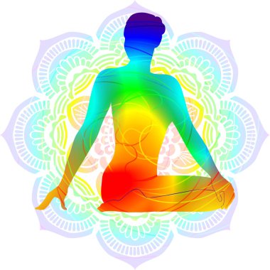 Renkli siluet yoga duruşu. Kahraman Twist pozu. Parivritta Virasana. Oturdu ve büküldü. İzole vektör çizimi. Mandala arkaplanı.