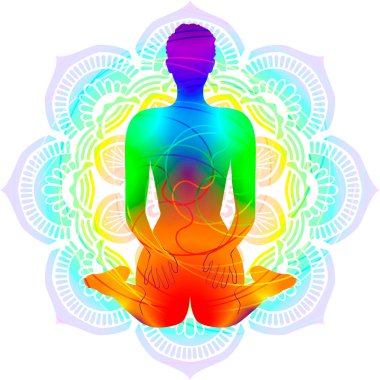 Renkli siluet yoga duruşu. Kahraman pozu. Virasana. Oturdum ve arkamı döndüm. İzole vektör çizimi. Mandala arkaplanı.