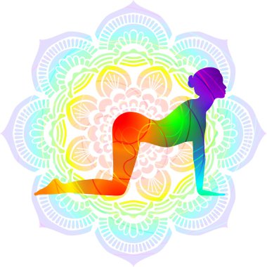 Renkli siluet yoga duruşu. İnek duruşu mu yoksa köpek duruşu mu? Bitilasana. Kol Bacağı Desteği ve Arka Büküm. İzole vektör çizimi. Mandala arkaplanı.