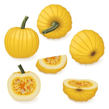 Bir çift Mellow Yellow Pumpkins. Kış balkabağı. Cucurbita pepo. Meyve ve sebze. İzole vektör illüstrasyonu.