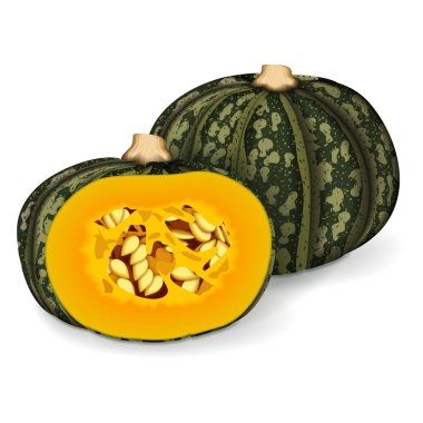 Kabocha kış balkabaklarının yarısı. Kestane ezmesi. Cucurbita maxima. Meyve ve sebze. İzole vektör illüstrasyonu.