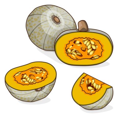 Tam ve doğranmış şekerleme kabağı. Kış balkabağı. Cucurbita maxima. Sebzeler. Tırman. İzole vektör illüstrasyonu.