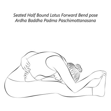 Ardha Baddha Padma Paschimottanasana 'da yoga yapan kadın çizimi. Yarı bağlı Lotus Viraj pozu. İzole vektör illüstrasyonu.