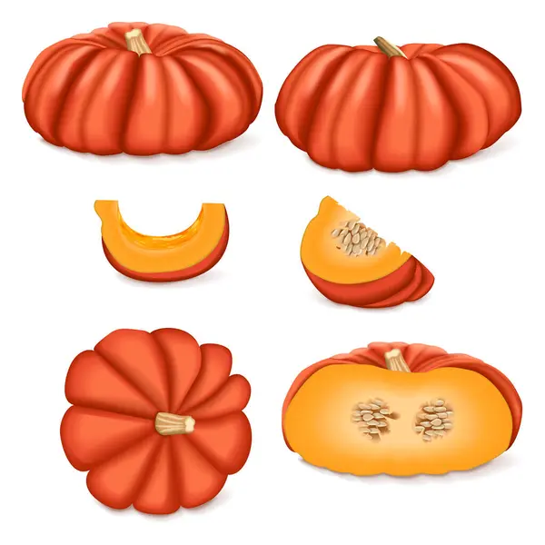 stock vector Clip art of Cinderella pumpkin. Rouge Vif D Etampes. Winter squash. Cucurbita maxima. Fruits and vegetables. Isolated vector illustration.