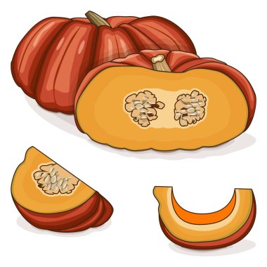 Tam ve doğranmış Külkedisi kabağı. Rouge Vif D Etampes. Kış balkabağı. Cucurbita maxima. Sebzeler. Tırman. İzole vektör illüstrasyonu.