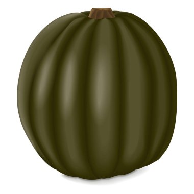 Zapallo Macre Squash. Kış balkabağı. Cucurbita maxima. Meyve ve sebze. İzole vektör illüstrasyonu.