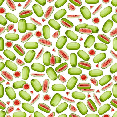 Ali Baba Karpuz 'la kusursuz desen. Citrullus lanatus. Sebzeler. İzole vektör illüstrasyonu.