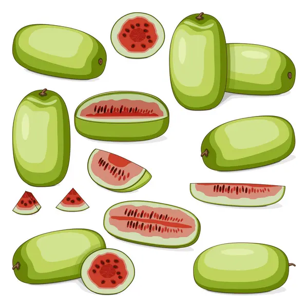 stock vector Set of Ali Baba Watermelon. Citrullus lanatus. Fruits and vegetables. Clipart. Isolated vector illustration.