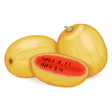 Peri karpuzunun yarısı. Citrullus lanatus. Meyve ve sebze. İzole vektör illüstrasyonu.