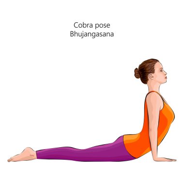 Bhujangasana yoga pozu veren genç bir kadın. Kobra pozu. Orta halli zorluk. İzole vektör illüstrasyonu.