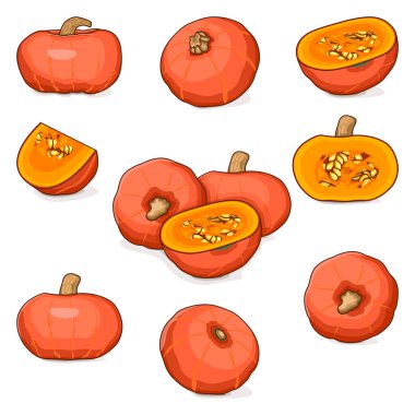 Gün ışığı kabakulağı seti. Kış balkabağı. Cucurbita maxima. Sebzeler. Klip sanatı. İzole vektör illüstrasyonu.