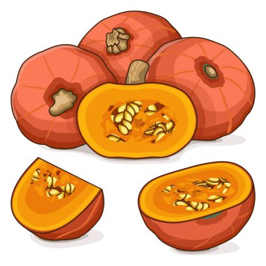 Tam ve doğranmış Sunshine Kabocha kabağı. Kış balkabağı. Cucurbita maxima. Sebzeler. Klip sanatı. İzole vektör illüstrasyonu.