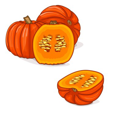 Koca Max balkabağını doğradım. Kış balkabağı. Cucurbita maxima. Sebzeler. Klip sanatı. İzole vektör illüstrasyonu.