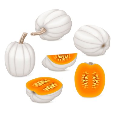 Klip sanatı. Dolunay balkabağı. Kış balkabağı. Cucurbita maxima. Meyve ve sebze. İzole vektör illüstrasyonu.