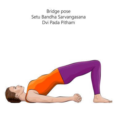 Setu Bandha Sarvangasana yoga pozu veren genç bir kadın. Dvi Pada Pitham pozu. Köprü pozisyonu. Orta halli zorluk. İzole vektör illüstrasyonu.