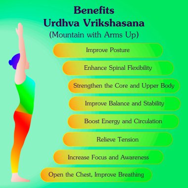 Urdhva Vrikshasana yoga pozunun faydaları. Kollar havada dağ duruşu. Acemi zorluğu. İzole vektör illüstrasyonu.