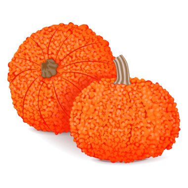 Bir grup Kızıl Siğilli Balkabağı. Kış balkabağı. Cucurbita maxima. Meyve ve sebze. İzole vektör illüstrasyonu.