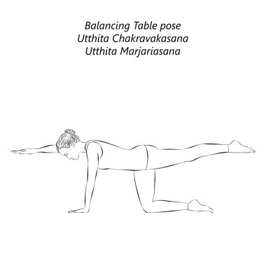 Utthita Chakravakasana yoga pozu veren genç bir kadın çizimi. Dengeli masa pozu ya da Ruddy Goose pozu. İzole vektör illüstrasyonu.