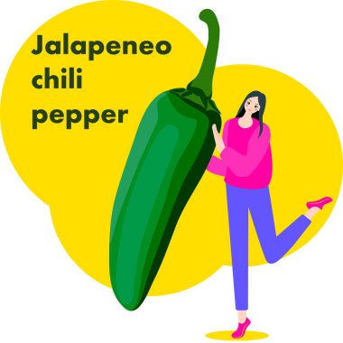 A woman holds Green Jalapeno chili peppers. Jalapa peppers. Chile peppers. Isolated vector illustration. clipart