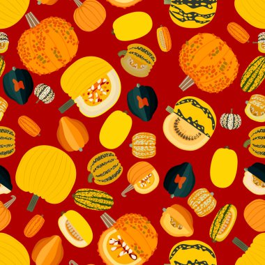 Farklı tipte kabak kabaklarıyla kusursuz desen. Cucurbita pepo. Cucurbitaceae. Sebzeler. İzole vektör çizimi. Düz biçim.