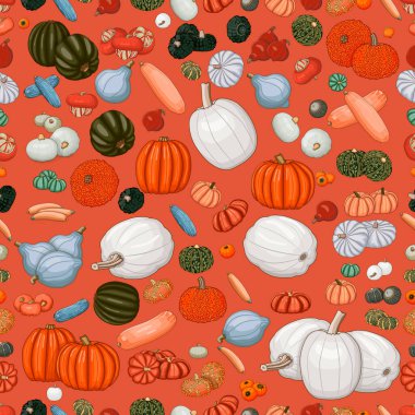 Kış kabağı türlerinde pürüzsüz desen. Cucurbita maxima. Cucurbitaceae. Meyve ve sebze. İzole vektör çizimi. Sanat.