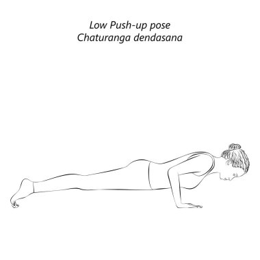 Chaturanga dandasana yoga pozu veren genç bir kadının çizimi. Düşük Plank pozu ya da düşük şınav pozu. İzole vektör illüstrasyonu.