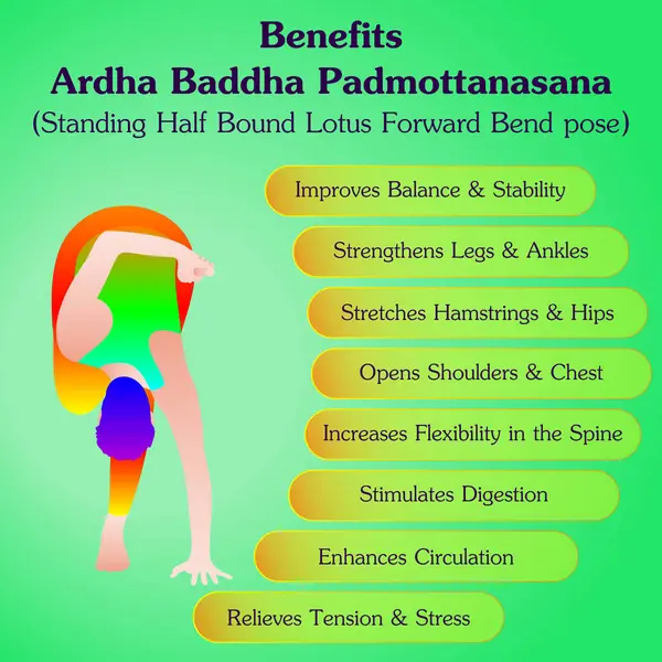 Ardha baddha padmottanasana yoga pozunun faydaları. Yarım Nilüfer Nilüfer Eğilimi pozu. İzole vektör illüstrasyonu.