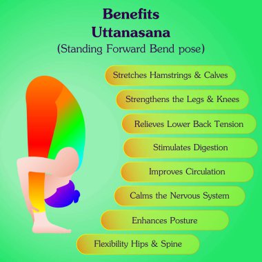 Uttanasana yoga pozu çalışmanın faydaları. Öne doğru eğil pozu. Orta halli zorluk. İzole vektör illüstrasyonu.