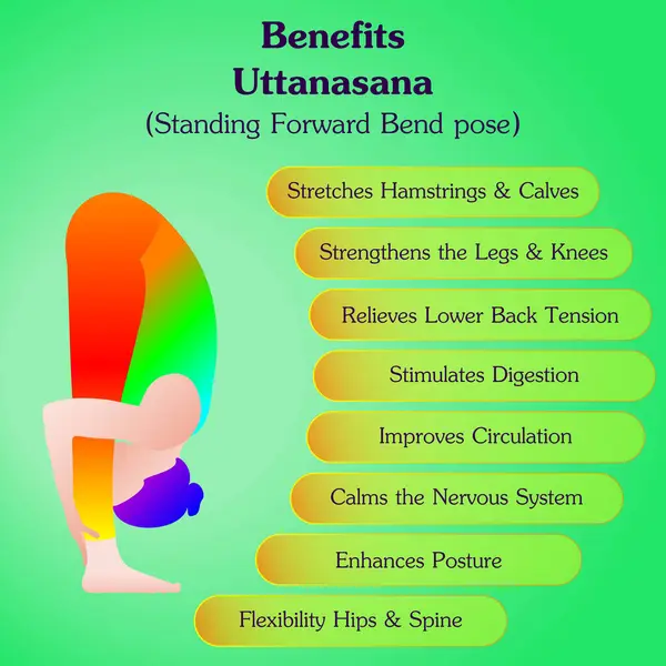 Uttanasana yoga pozu çalışmanın faydaları. Öne doğru eğil pozu. Orta halli zorluk. İzole vektör illüstrasyonu.