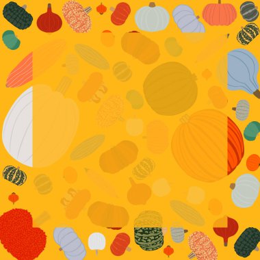 Kış kabağı tipli kare pankart. Cucurbita maxima. Cucurbitaceae. Meyve ve sebze. İzole vektör çizimi. Şablon. Düz biçim.