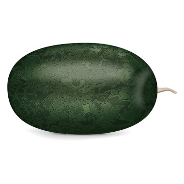 Siyah Karpuz. Citrullus lanatus. Meyve ve sebze. İzole vektör illüstrasyonu.