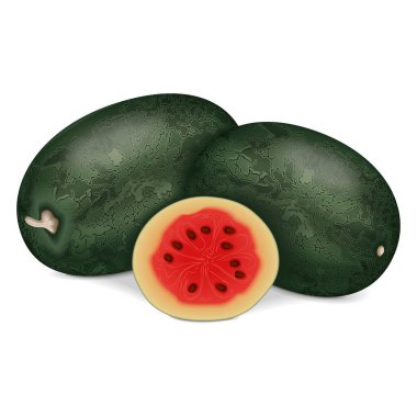 Koca bir karpuz ve yarım karpuz. Citrullus lanatus. Meyve ve sebze. İzole vektör illüstrasyonu.