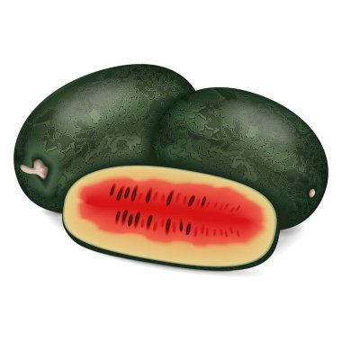 Kara Güzel Karpuz 'un tamamı ve yarısı. Citrullus lanatus. Meyve ve sebze. İzole vektör illüstrasyonu.
