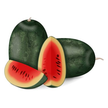 Bir bütün ve doğranmış siyah karpuz grubu. Citrullus lanatus. Meyve ve sebze. İzole vektör illüstrasyonu.