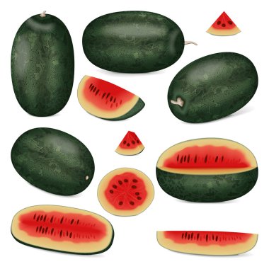 Klip sanatı. Siyah Karpuz. Citrullus lanatus. Meyve ve sebze. İzole vektör illüstrasyonu.