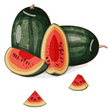 Tam ve doğranmış Kara Güzel Karpuz. Citrullus lanatus. Sebzeler. Tırman. İzole vektör illüstrasyonu.