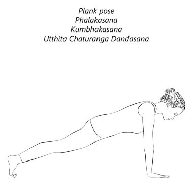 Phalakasana yoga pozu veren genç bir kadının çizimi. Plank yoga pozu. Kumbhakasana pozu. Orta halli zorluk. İzole vektör illüstrasyonu.