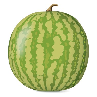 Sarı Bebek Karpuz. Citrullus lanatus. Meyve ve sebze. İzole vektör illüstrasyonu.