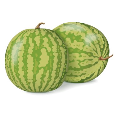 Sarı Bebek Karpuz Grubu. Citrullus lanatus. Meyve ve sebze. İzole vektör illüstrasyonu.