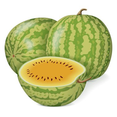 Sarı Bebek Karpuz 'un yarısı. Citrullus lanatus. Meyve ve sebze. İzole vektör illüstrasyonu.