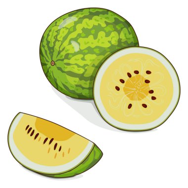 Tam ve doğranmış Sarı Bebek Karpuzu. Citrullus lanatus. Sebzeler. Tırman. İzole vektör illüstrasyonu.