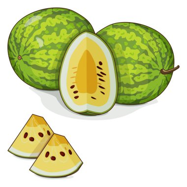 Tam ve doğranmış Sarı Bebek Karpuzu. Citrullus lanatus. Sebzeler. Tırman. İzole vektör illüstrasyonu.