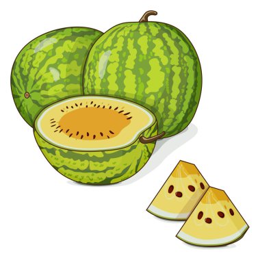 Tam ve doğranmış Sarı Bebek Karpuzu. Citrullus lanatus. Sebzeler. Tırman. İzole vektör illüstrasyonu.