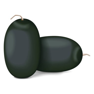 Bir grup Kiran Karpuzu. Buzlu karpuz. Citrullus lanatus. Meyve ve sebze. İzole vektör illüstrasyonu.