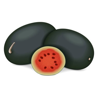 Tam ve doğranmış Kiran Karpuzları. Buzlu karpuz. Citrullus lanatus. Meyve ve sebze. İzole vektör illüstrasyonu.