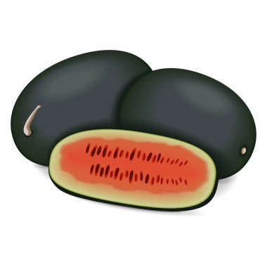 Kiran karpuzlarının yarısı. Buzlu karpuz. Citrullus lanatus. Meyve ve sebze. İzole vektör illüstrasyonu.