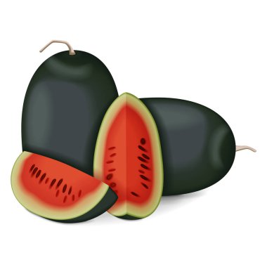 Kiran karpuzlarının yarısı. Buzlu karpuz. Citrullus lanatus. Meyve ve sebze. İzole vektör illüstrasyonu.