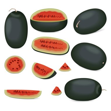 Klip sanatı. Kiran Karpuzları. Buzlu karpuz. Citrullus lanatus. Meyve ve sebze. İzole vektör illüstrasyonu.